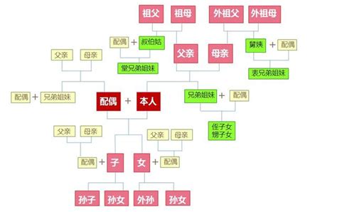 三等親有哪些|什麼是民法的親屬？什麼是直系、旁系、尊、卑親屬？｜法律百科 